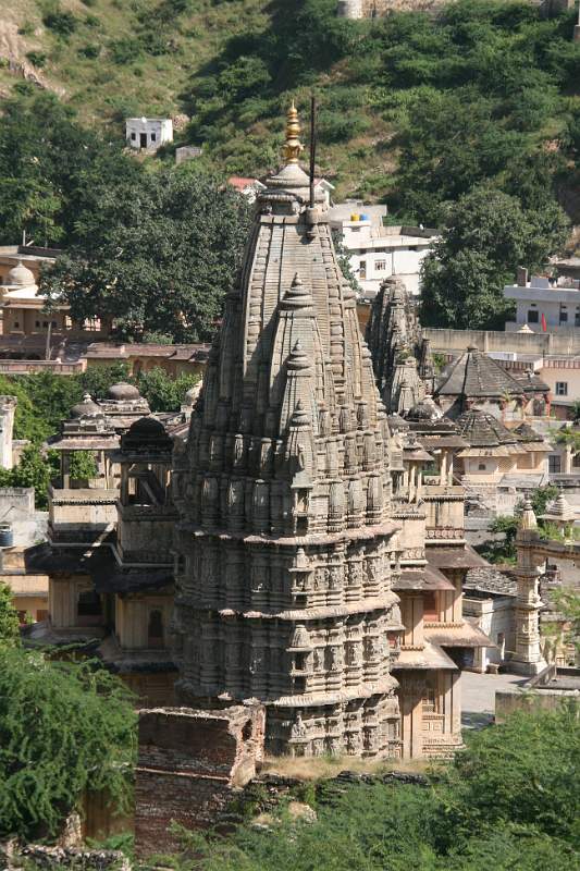 India & Nepal 2011 - 1372